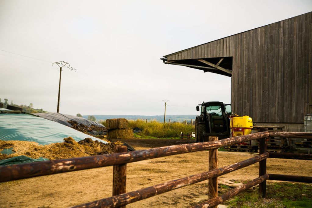 Elevage vache laitière en Normandie - Fromagerie Durand à Camembert