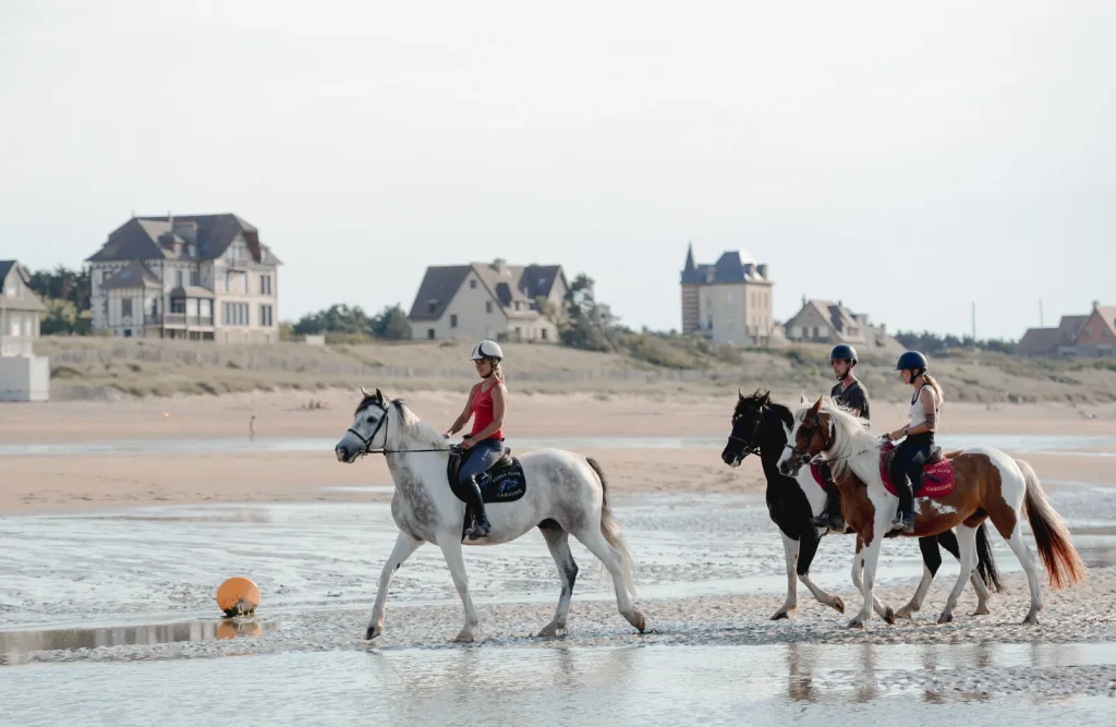 Chevaux sur la plage à Cabourg