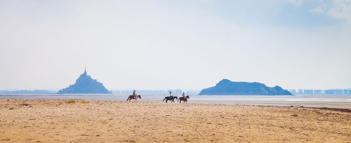 Chevaux devant le Mont-Saint-Michel