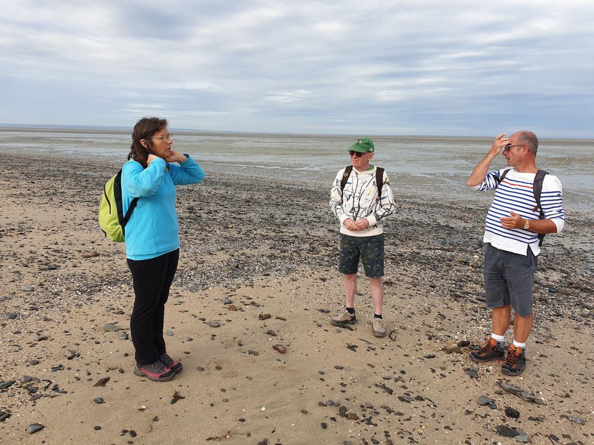 Marche redynamisante en baie du Mont-Saint-Michel - Expérience