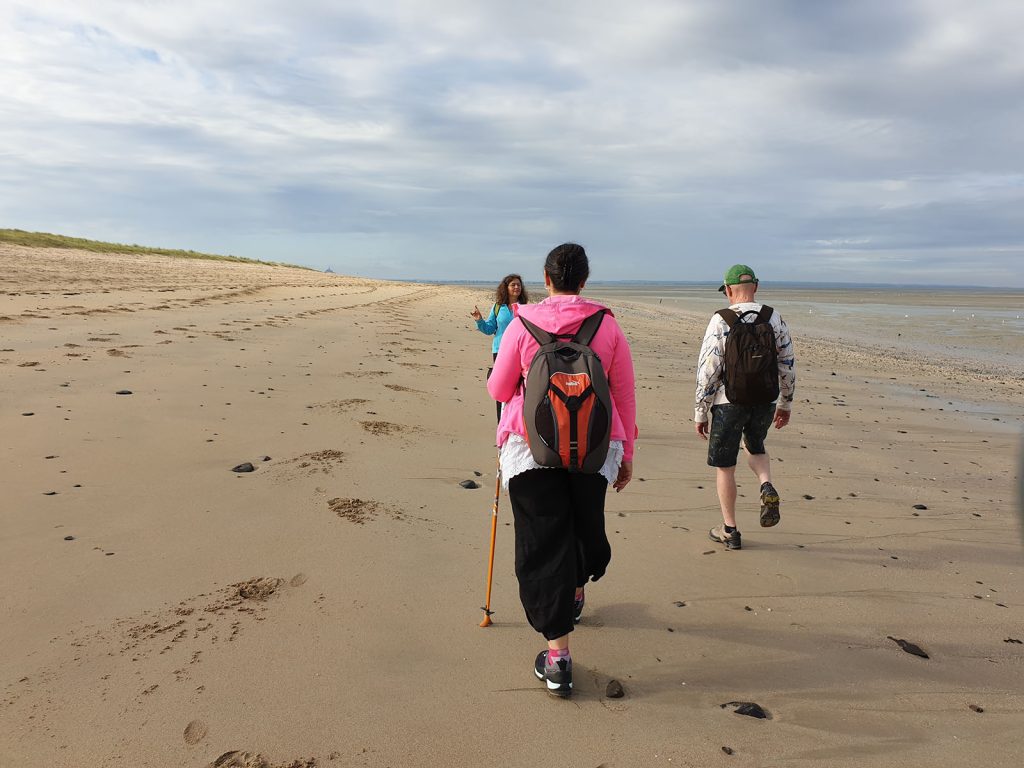 Afghan Walking in the bay of the Mont-Saint-Michel 