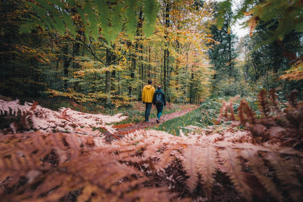 Balade automnale en couple dans la forêt des Andaines