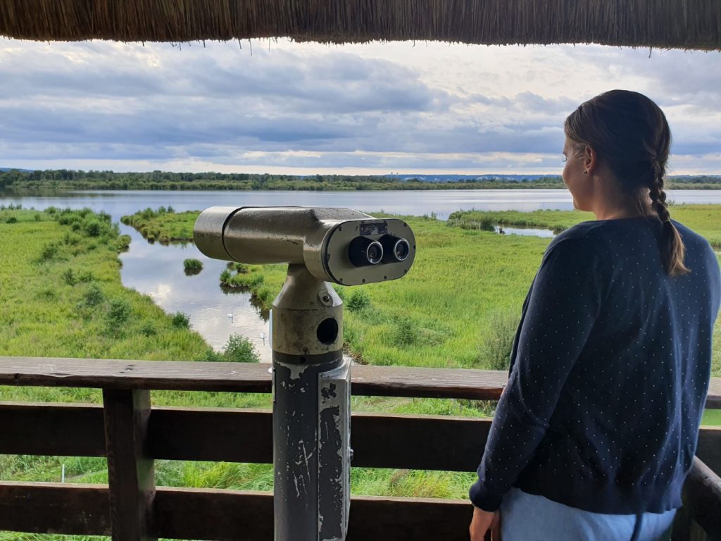 Observatoire sur le Marais-Vernier