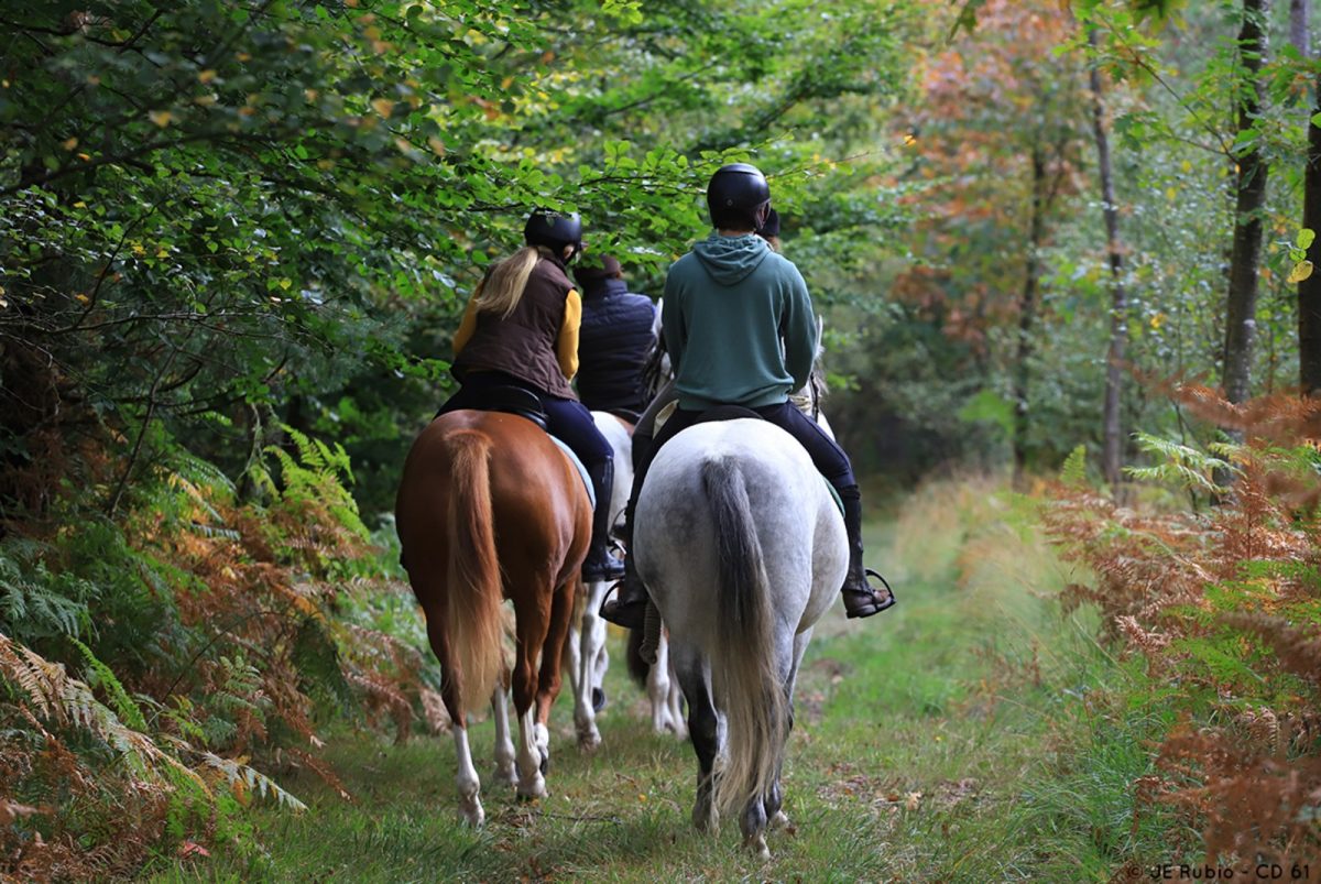 Randonnée à cheval dans l