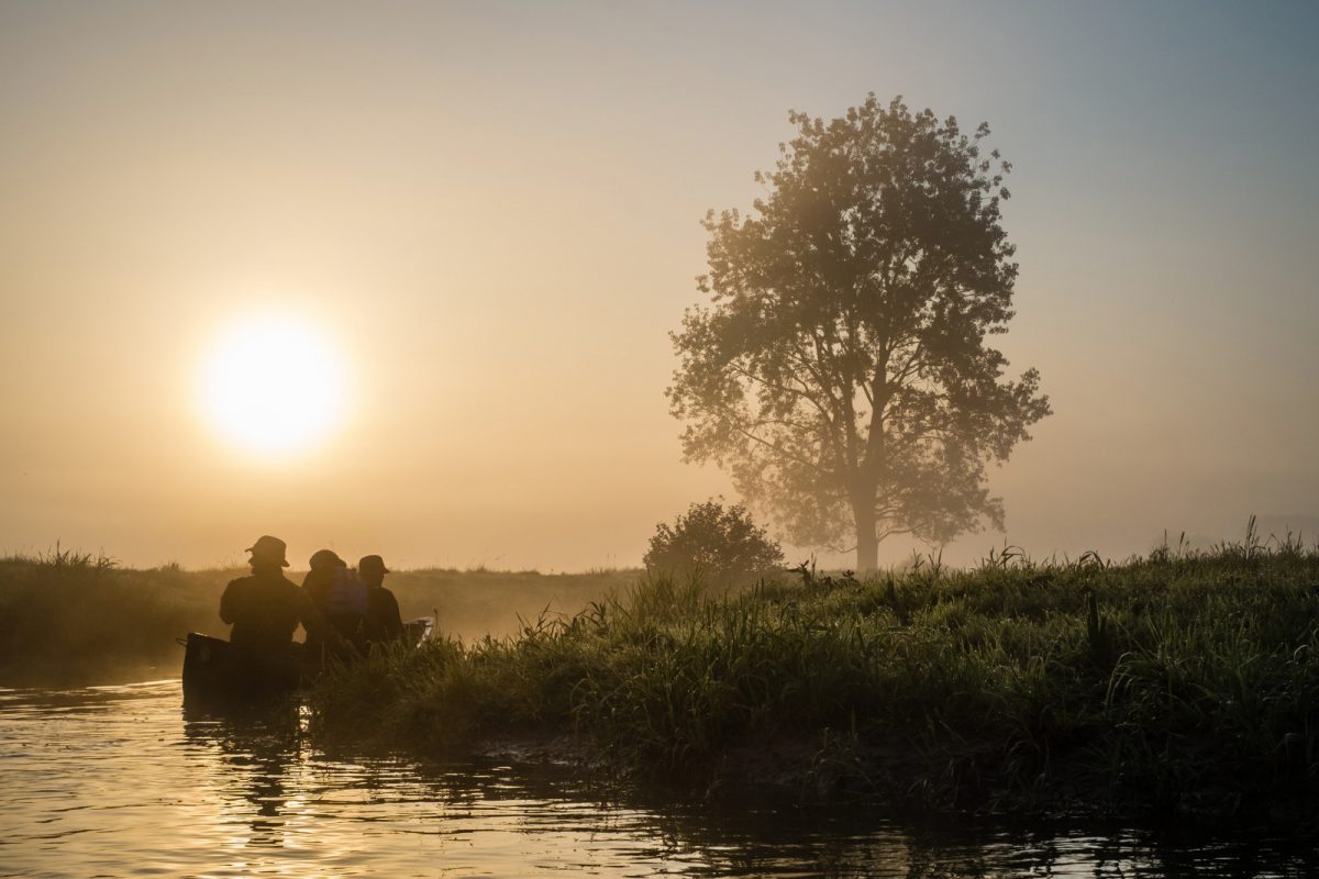 Dans les Marais du Cotentin et du Bessin
