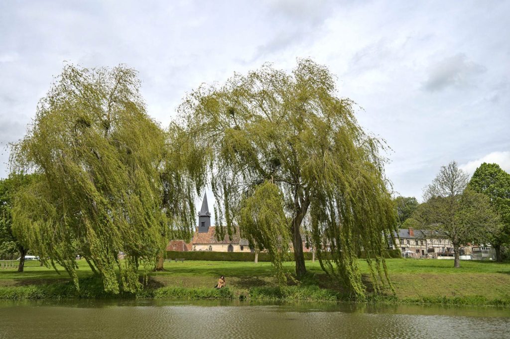 Etang du village de Courtonne-la-Meurdrac