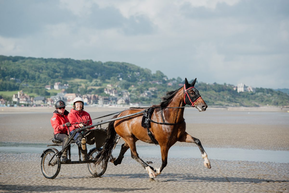 Sulky Expérience sur la plage de Deauville