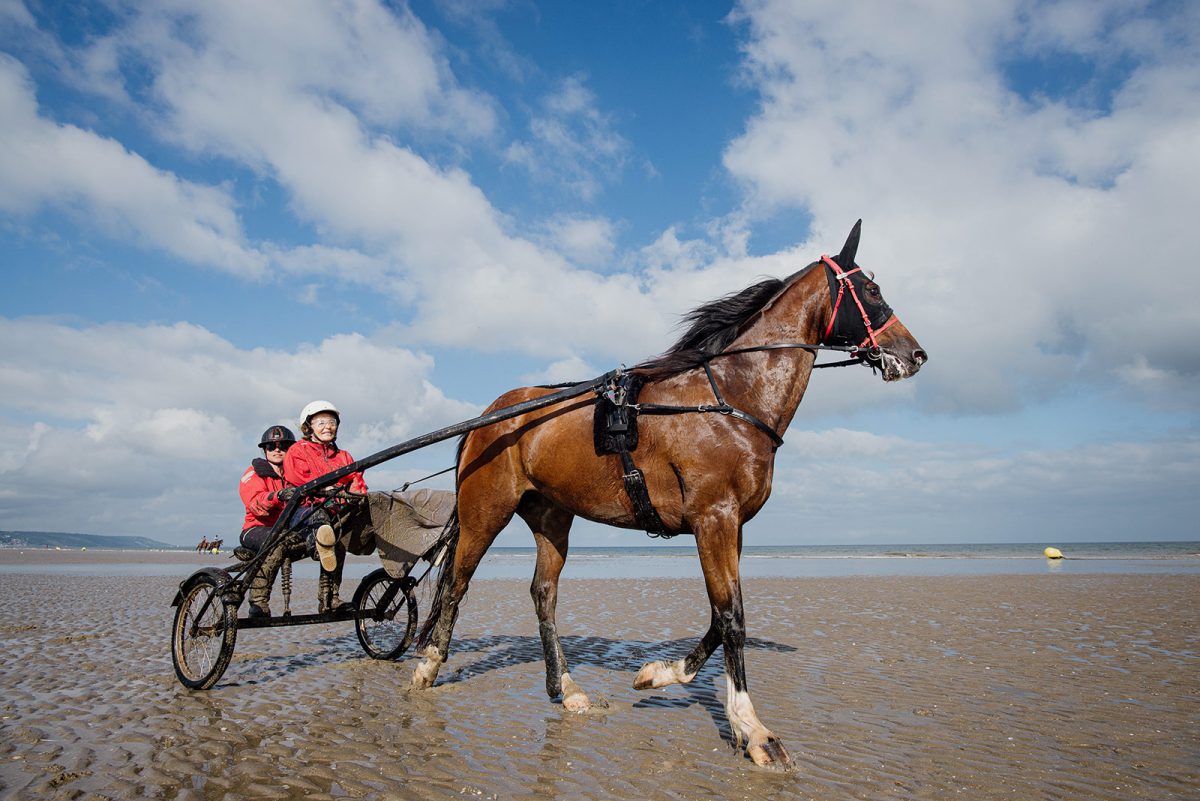 Sulky Expérience sur la plage de Deauville