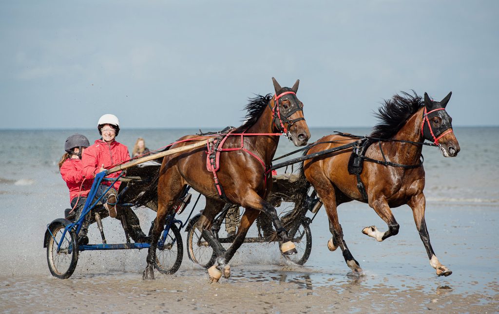 Sulky Expérience sur la plage de Deauville