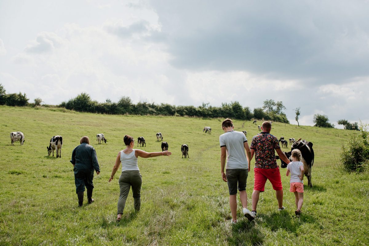 Aller chercher les vaches avant la traite
