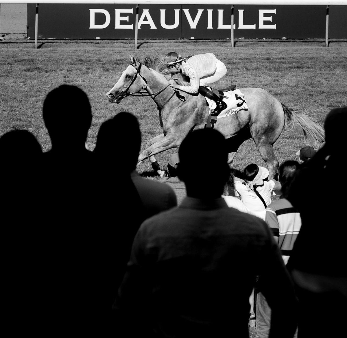 Hippodrome de Deauville - La Touques