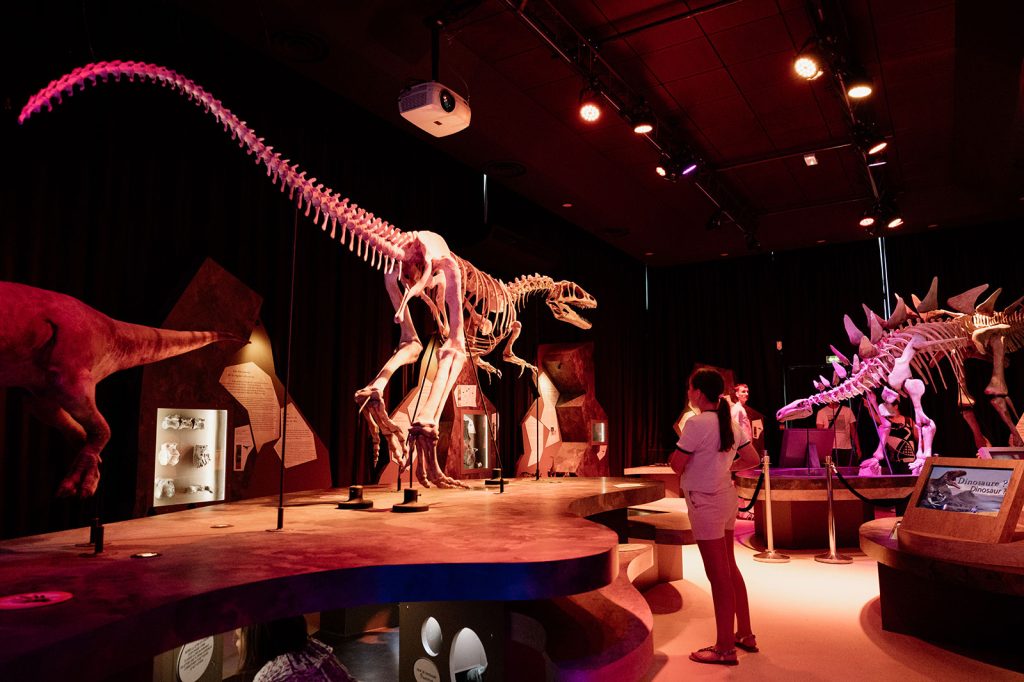 Paléospace à Villers-sur-Mer