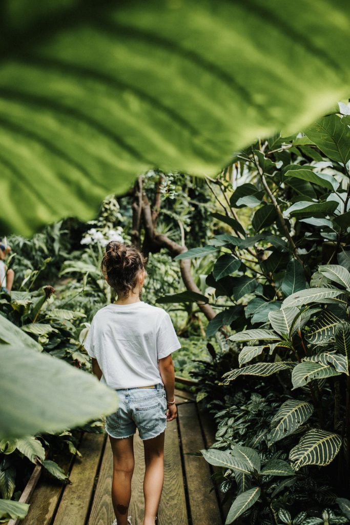 Jardin des plantes à Caen