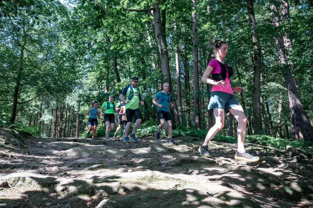 Trail running in the Andaines forest