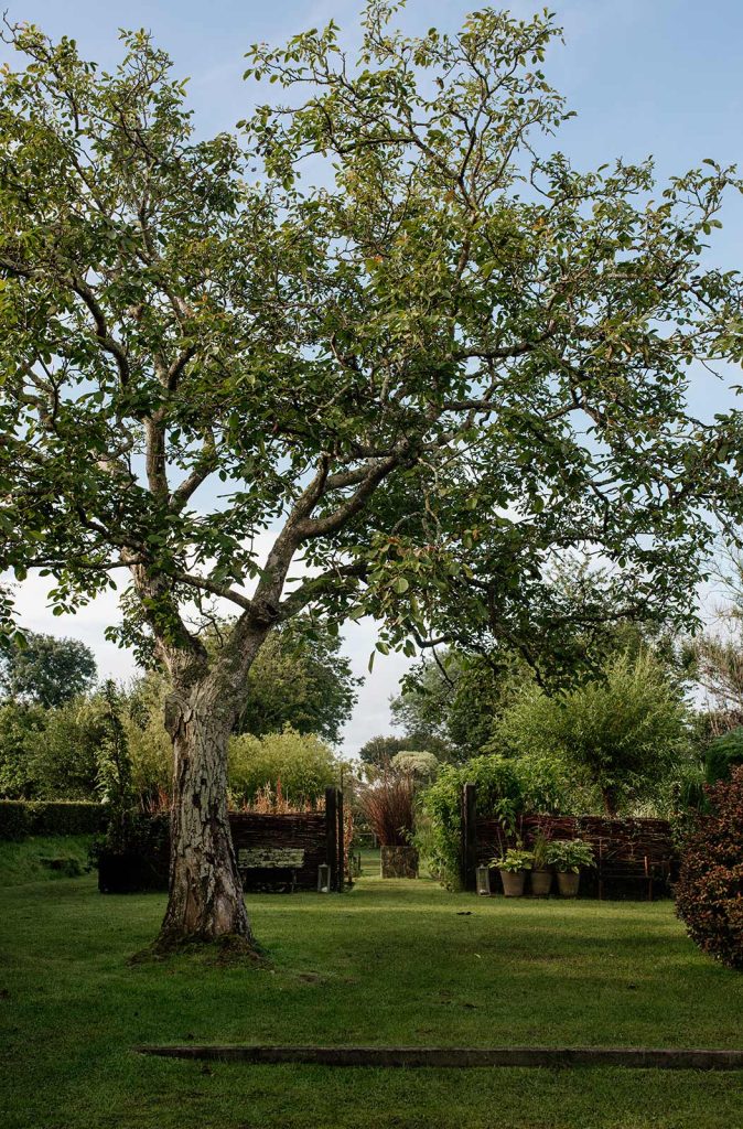 Jardin Stéphane Marie