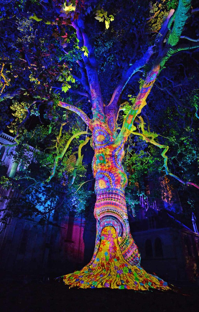 Árbol de la Libertad en Bayeux