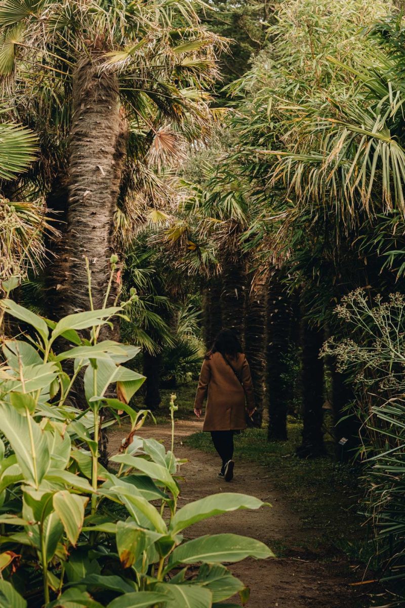 Vauville gardens