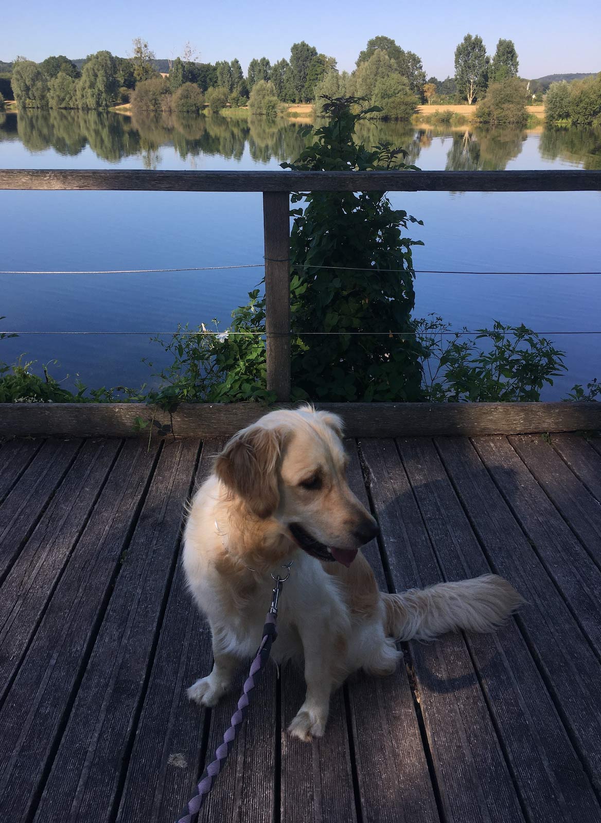Lac d