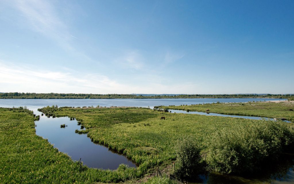 Vernier Marsh