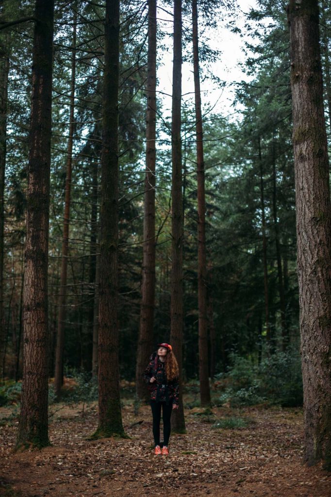 En forêt, Bagnoles de l