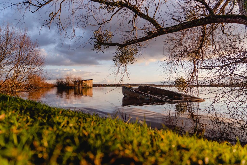 Marais blancs recouverts d