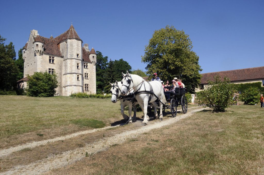 chevaux Manoir de Courboyer