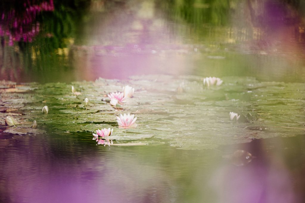 Los jardines de Claude Monet en Giverny