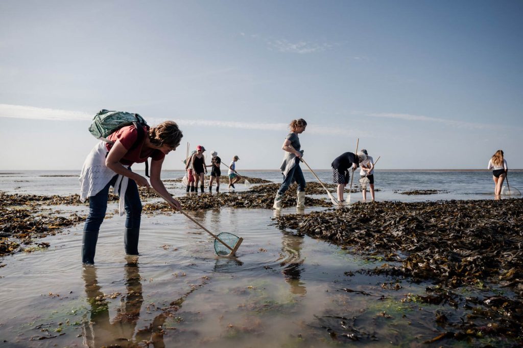 Pêche à pied à Saint-Aubin-sur-Mer