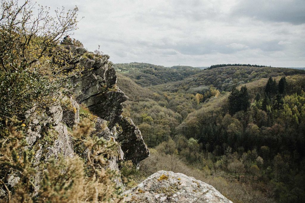 Rock en La Roche d