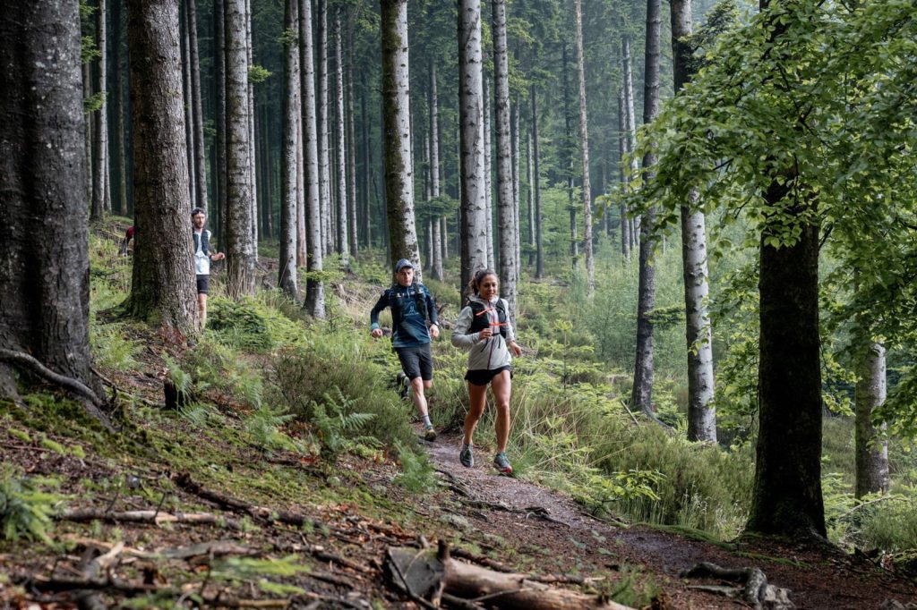 Trail running in the Ecouves forest