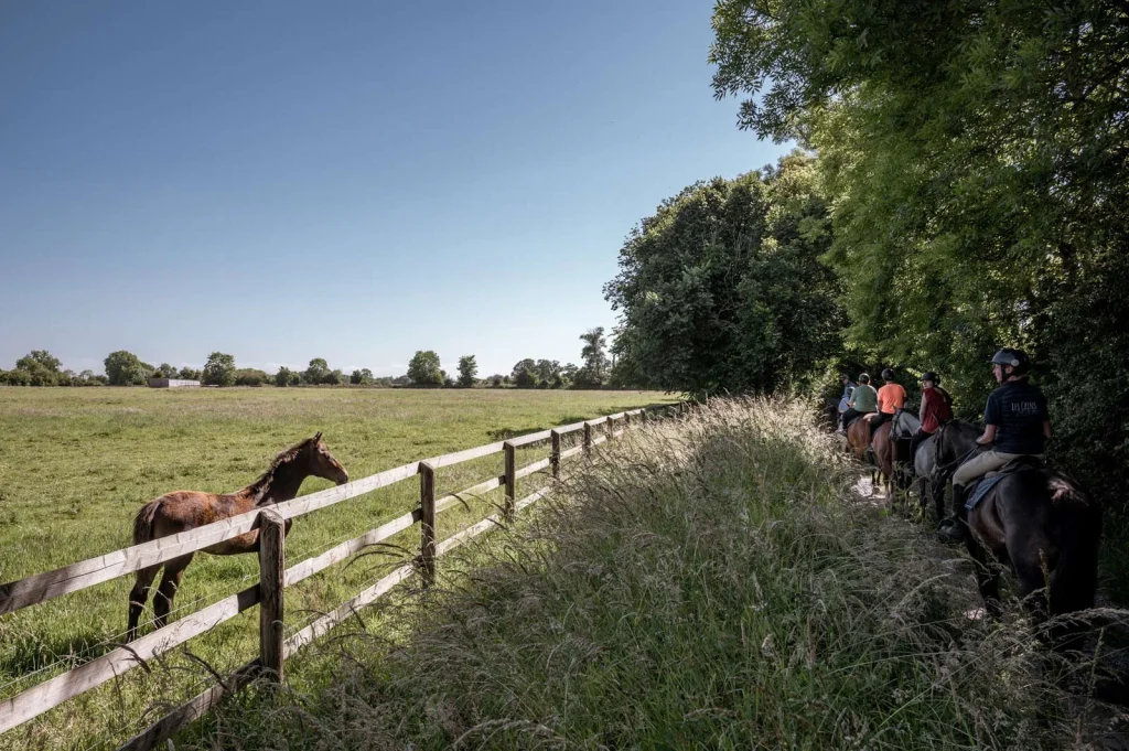 Balade à cheval autour des haras