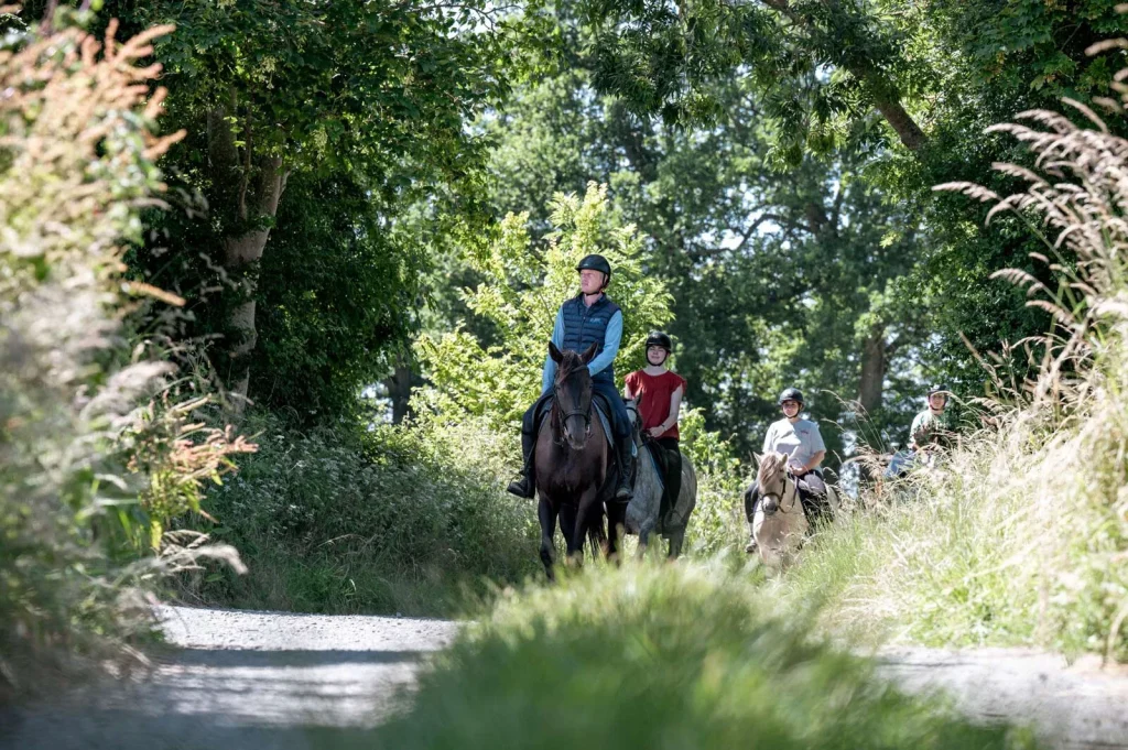Balade à cheval dans le bocage normand