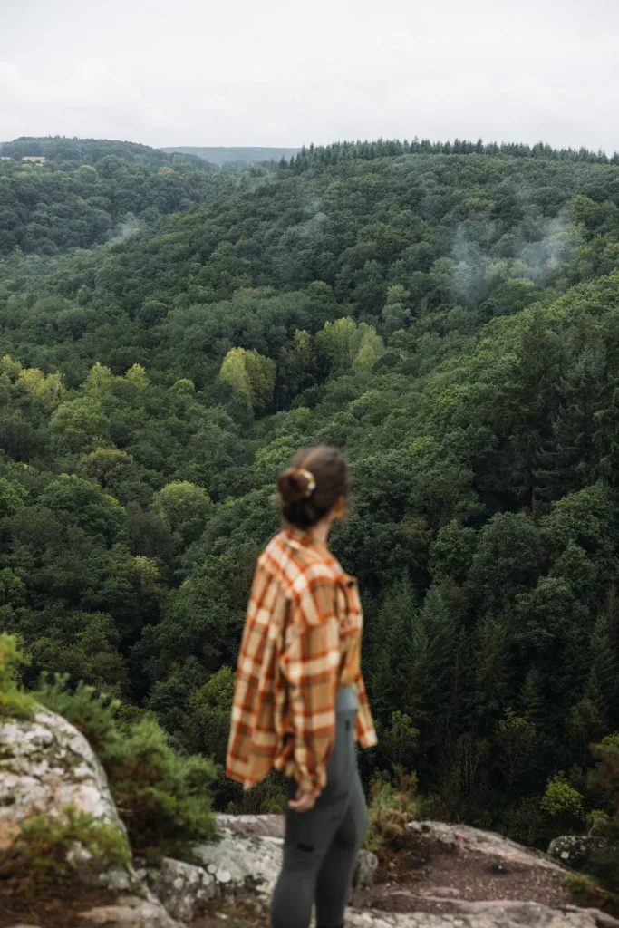 Vue à la Roche d