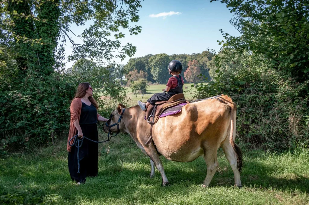 Balade à dos de vache en Suisse Normande