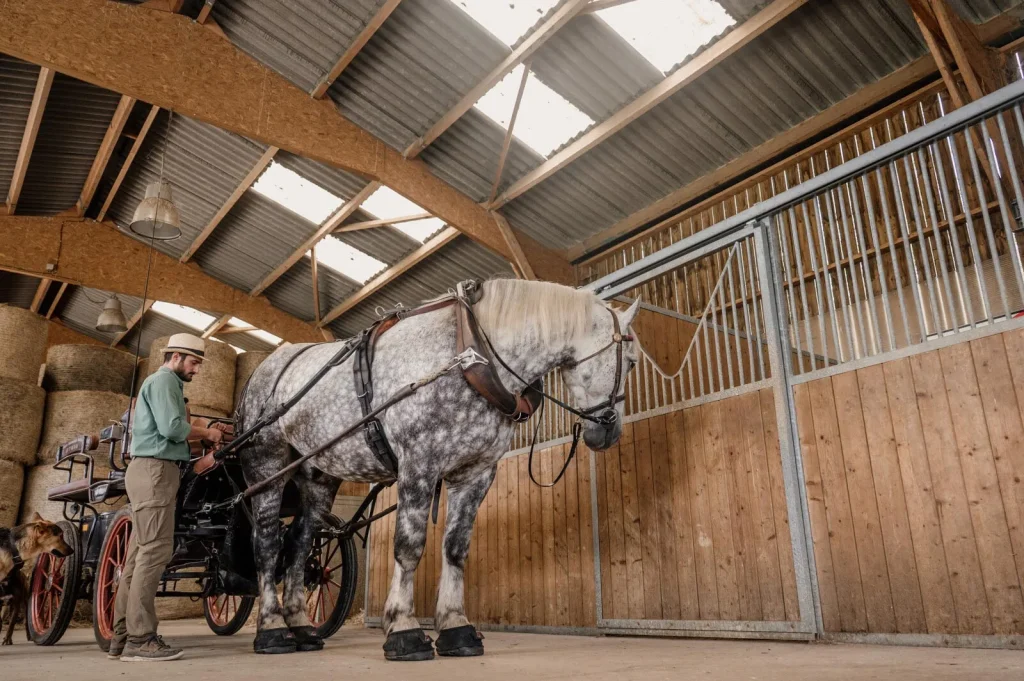 Preparations for the carriage ride