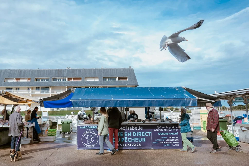 Marché aux poissons à Courseulles-sur-Mer