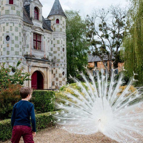 Devant le château de St-Germain-de-Livet