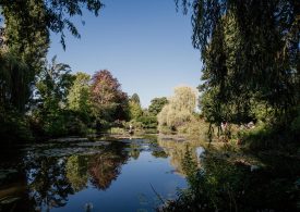 Jardins de la Fondation Claude Monet