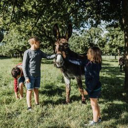 Manoir de Durcet, animaux