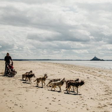 Balade en chiens de traîneau en baie du Mont-Saint-Michel avec Didier