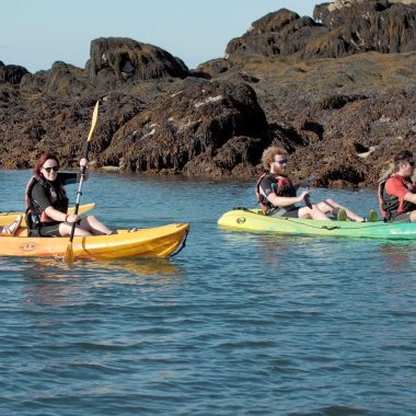 Kayak vers les îles Chausey - Expérience