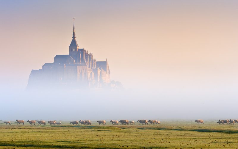 10 bonnes raisons de venir en Normandie en 2026 