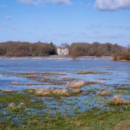 Marais blancs dans le Parc naturel régional, château de l'Isle Marie, Picauville