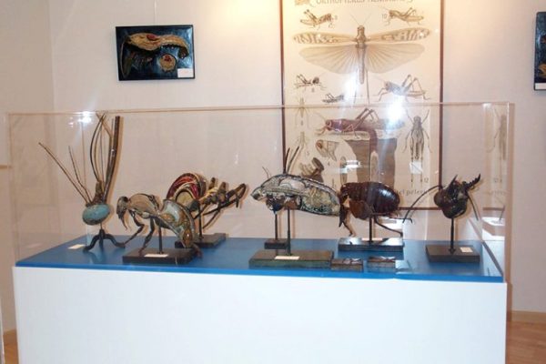 Musée de l'Écorché d'Anatomie