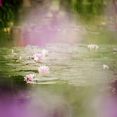 Jardins de Claude Monet à Giverny