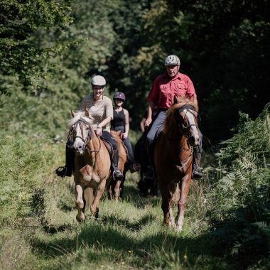 A cheval en forêt de Lyons