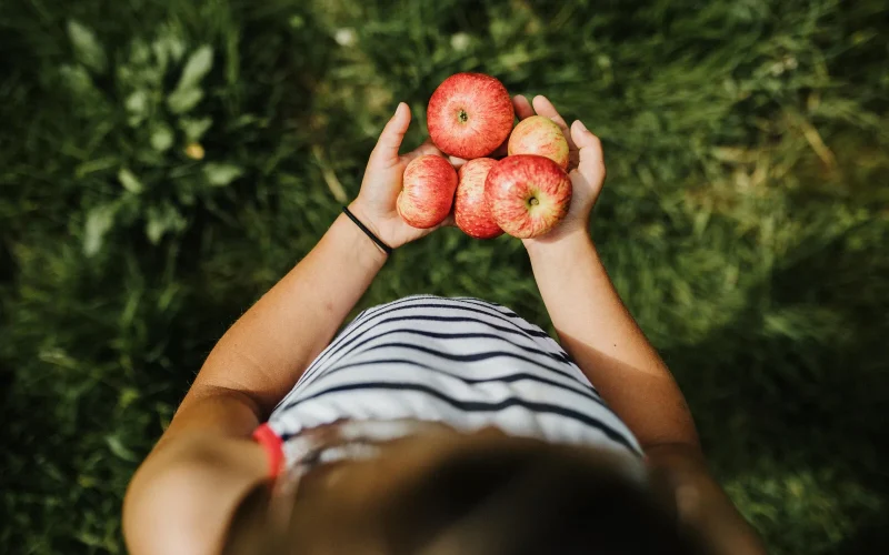 Les fêtes de la pomme et du cidre