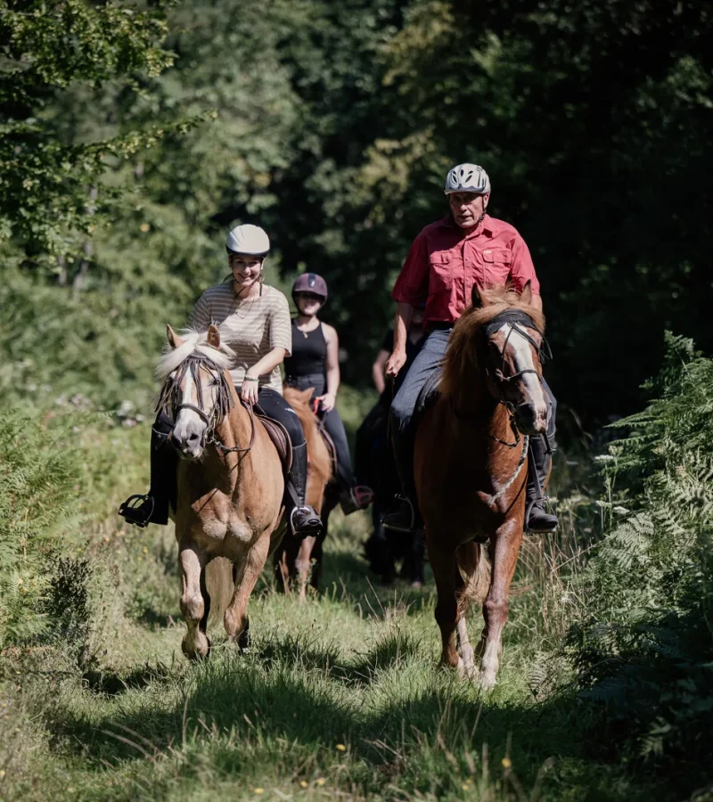 Week-end à cheval à l’Écurie de la forêt de Lyons