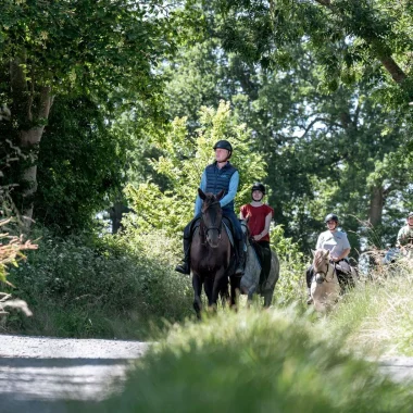 Balade à cheval dans le bocage normand