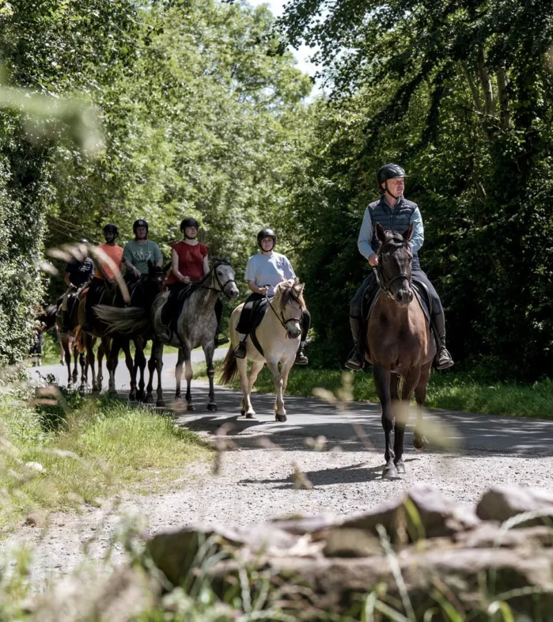 Balade à cheval autour des haras